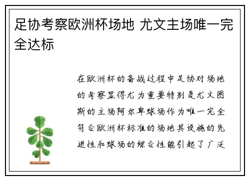 足协考察欧洲杯场地 尤文主场唯一完全达标