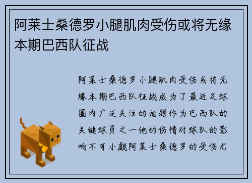 阿莱士桑德罗小腿肌肉受伤或将无缘本期巴西队征战