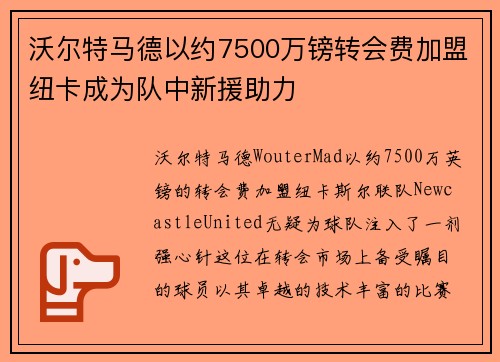 沃尔特马德以约7500万镑转会费加盟纽卡成为队中新援助力